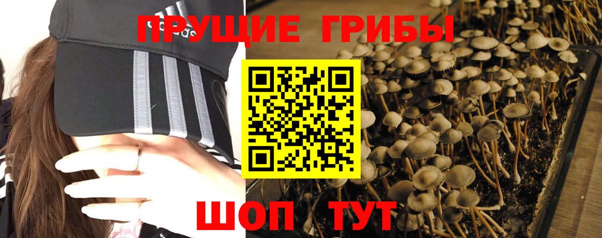 Галлюциногенные грибы прущие грибы Тихвин